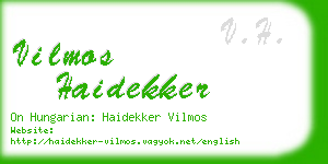 vilmos haidekker business card